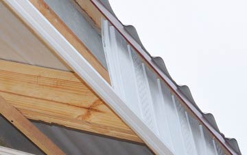 why Duncton fascia repairs are essential