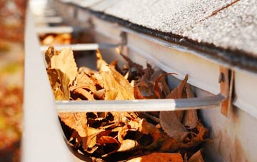 Duncton gutter cleaning companies