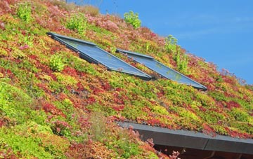 Duncton living roof systems