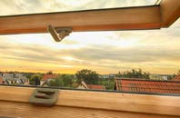 rated Duncton roof window companies